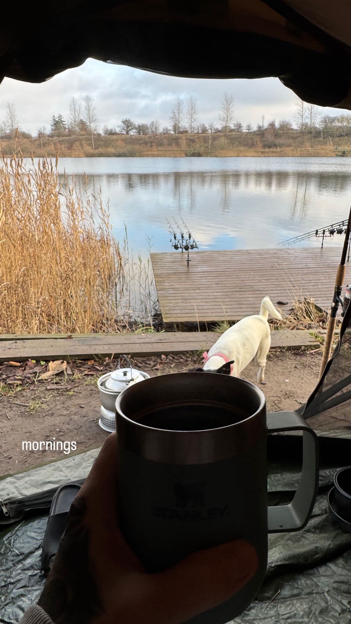 A fishing spot by the water with Shane’s dog and a cup of coffee in the foreground.
